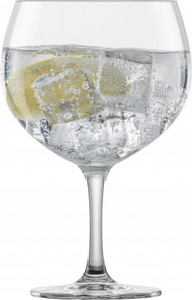 Copa de Gin &amp; Tonic